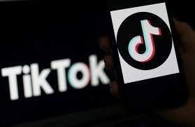 Gordon Chang: TikTok Has Been Caught Twice ‘Surveilling iPhone Users… This Is Not a Theoretical Concern’