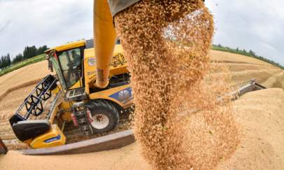 Aerial view of a combine harvester working at a wheat field in Bohu County, Bayingol Mongolian Autonomous Prefecture, in Xinjiang, China, on July 8, 2021. (Que Hure/VCG via Getty Images)