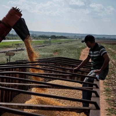 Venezuela: Socialists Offer Iran Massive Farmland Giveaway