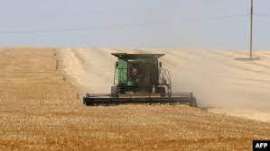 AFP -  A farmer uses a combine harvester to harvest wheat on a field near Izmail, in Ukraine's Odesa region, June 14, 2022, amid Russia's invasion of its neighbor.